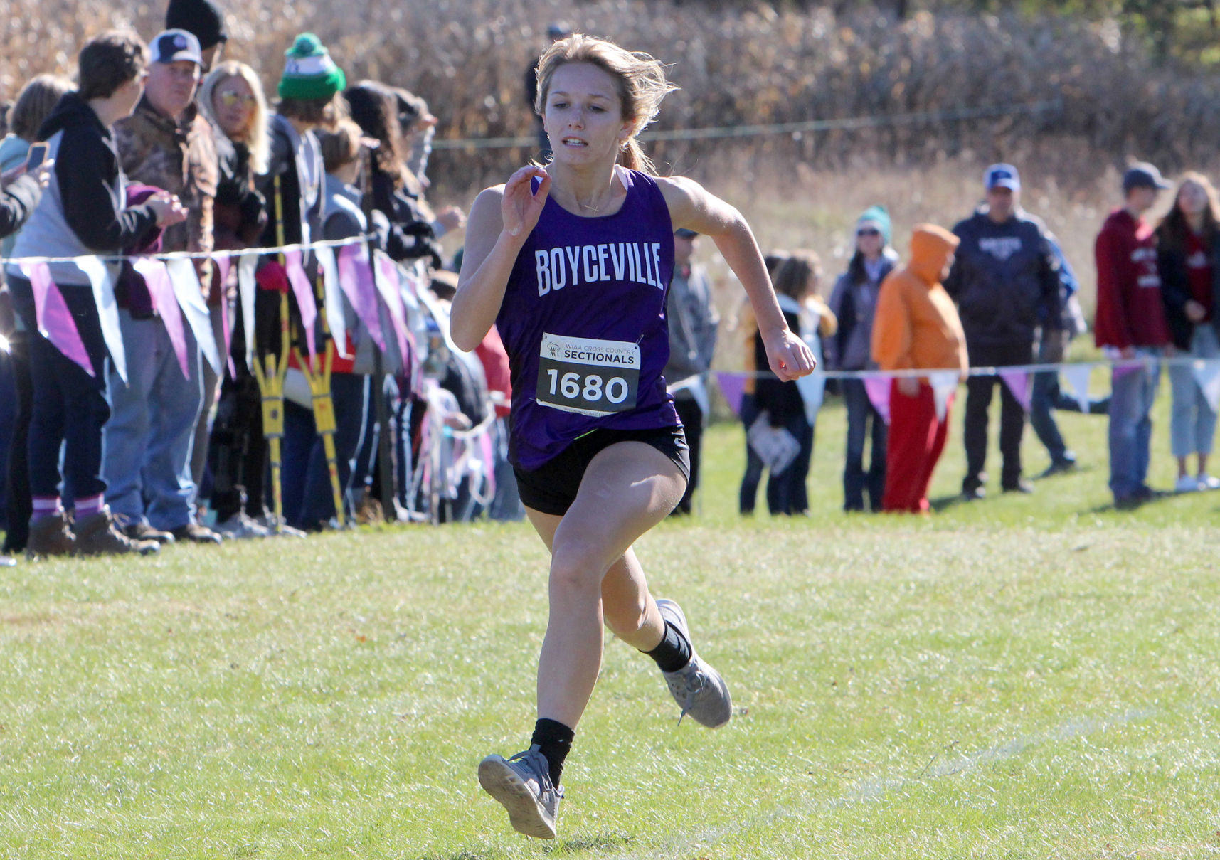 Division 3 Cross Country Sectionals in Boyceville 10-26-19